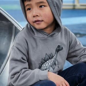 sudadera capucha dinosaurio gris mini niño Mayoral